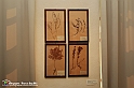 VBS_1244 - Castello di Miradolo - Mostra Oltre il giardino l'Abbecedario di paolo Pejrone